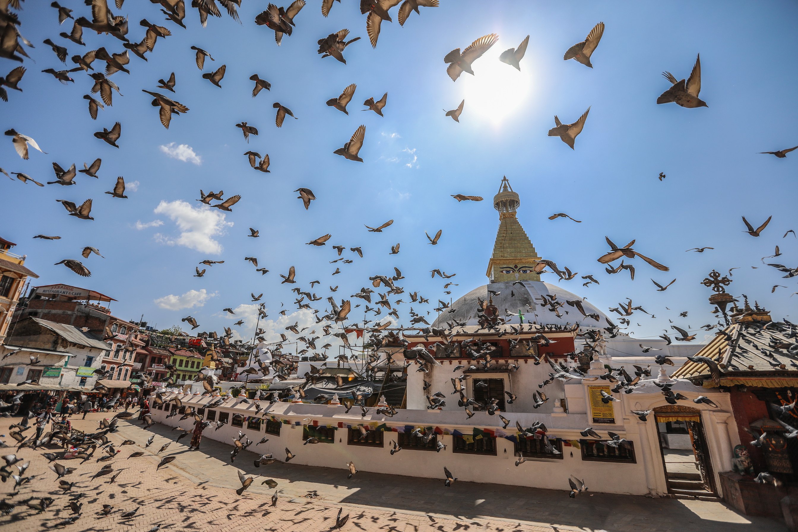  Flying Birds at the Boudhanath Stupa in Kathmandu